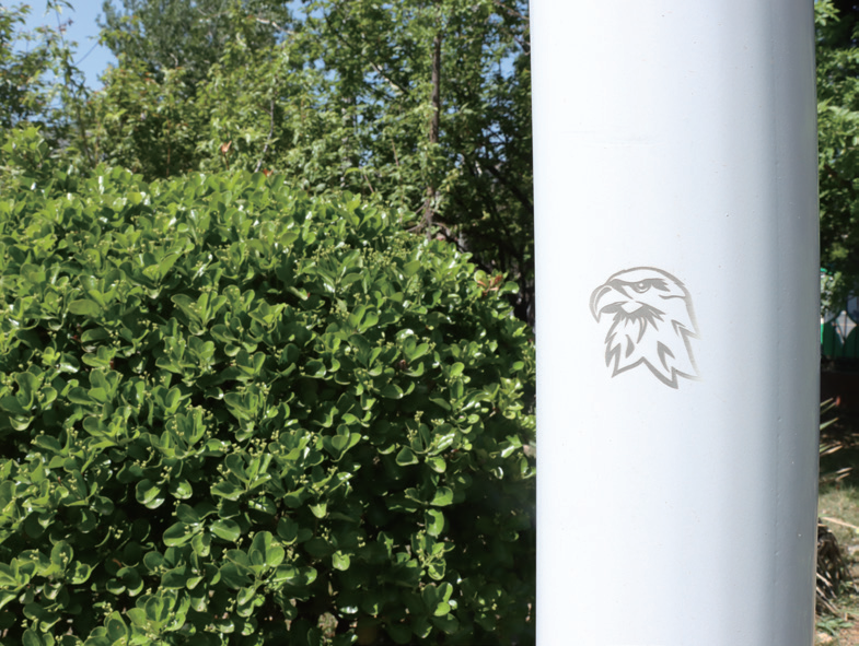 图片.png 图片.png